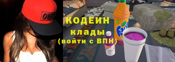 мяу мяу мука Иннополис