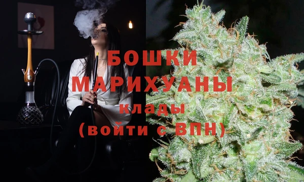 мяу мяу мука Иннополис