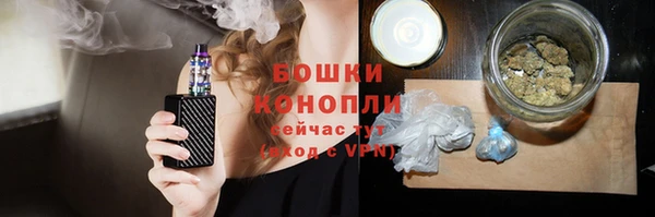 мяу мяу мука Иннополис