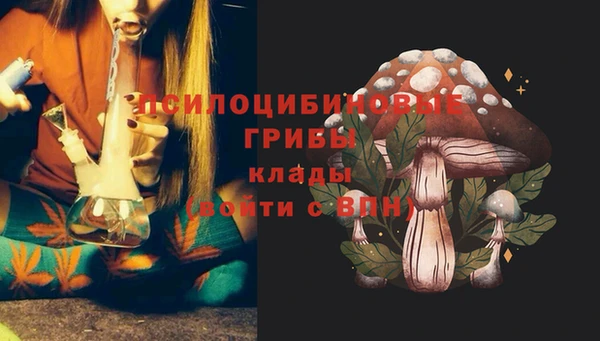 MESCALINE Инта