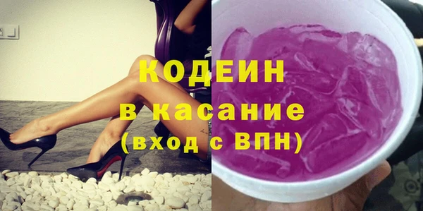 мяу мяу мука Иннополис